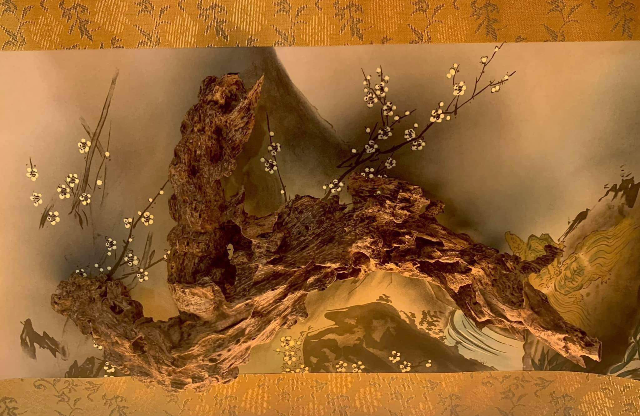 Kỳ nam trầm hương Điều kỳ diệu của rừng thiêng Việt Nam