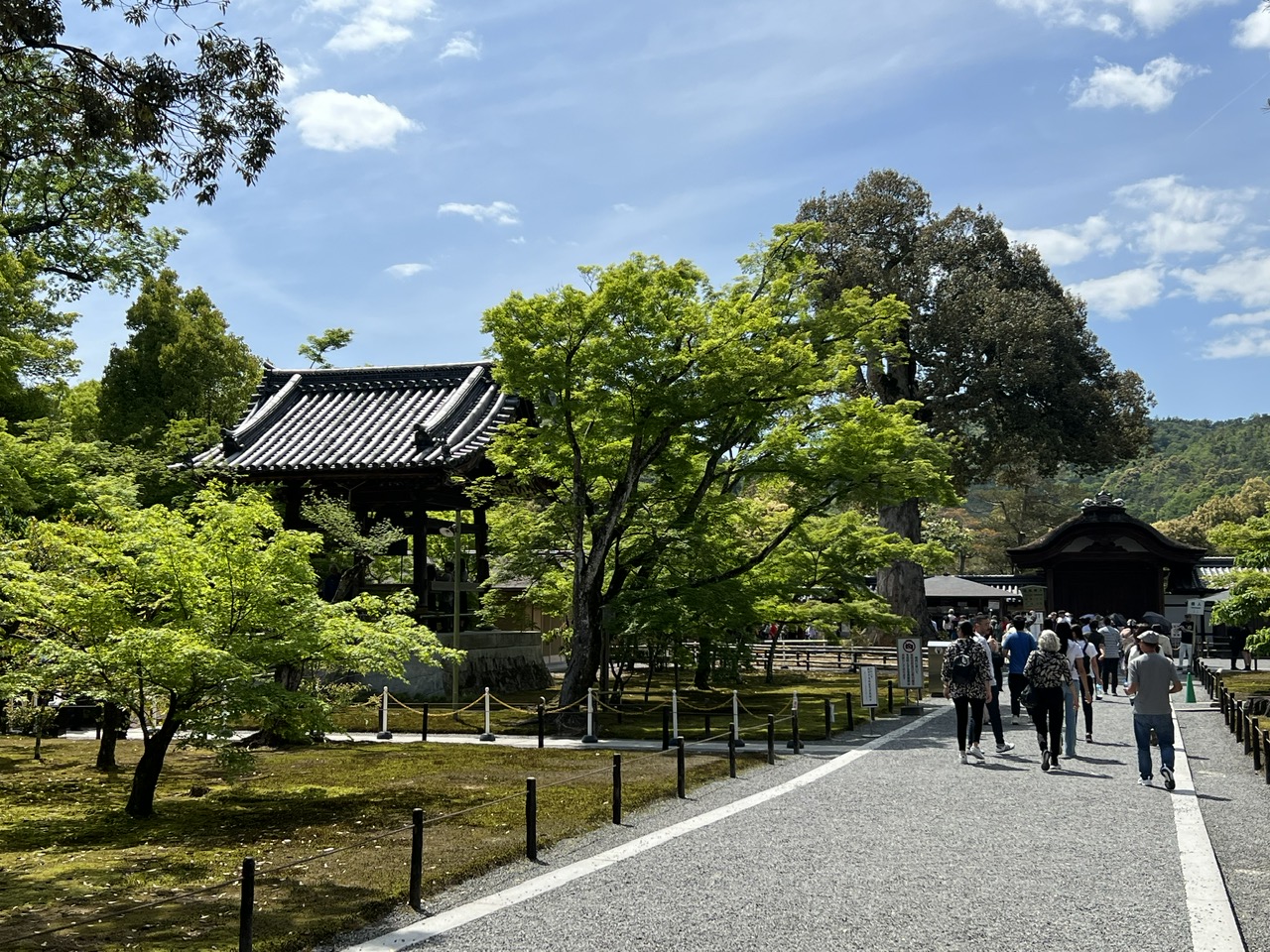 Tổ chức Lễ hội Thành phố Hồ Chí Minh tại Nhật Bản